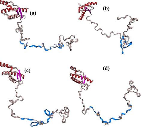 Structures Of Full Length Prion Protein In Various Copper Binding