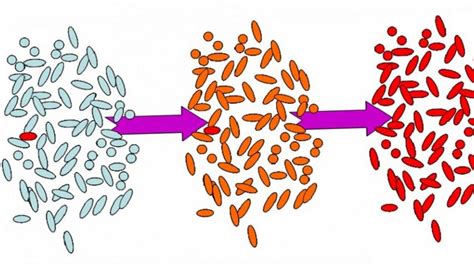 Micronutrient Synergy May Prevent Antimicrobial Resistance - Dr. Rath Health Foundation