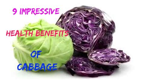 9 Impressive Health Benefits Of Cabbage How To Lose Weight Natural