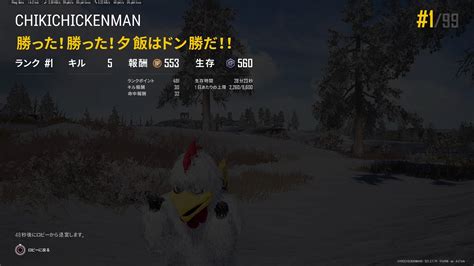 PS5 PUBG ソロ 255 YouTube