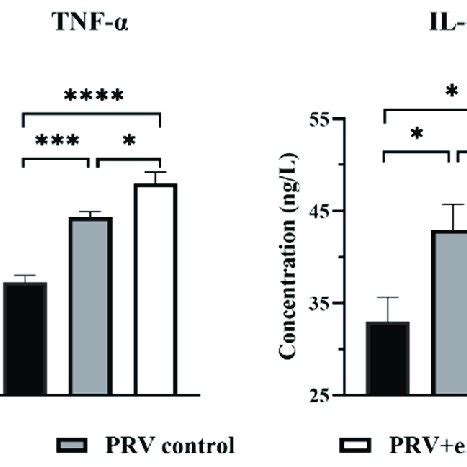 Effect Of Emodin On The Stages Of The PRV Life Cycle A The