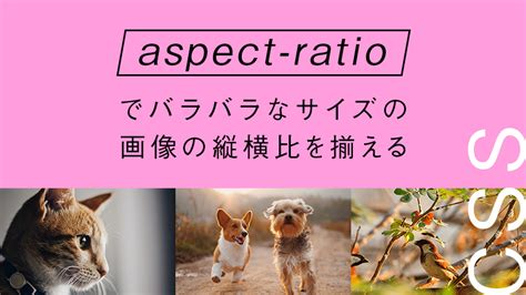 【簡単css】aspect Ratioでバラバラなサイズの画像の縦横比を揃える！ エムトラッドブログ