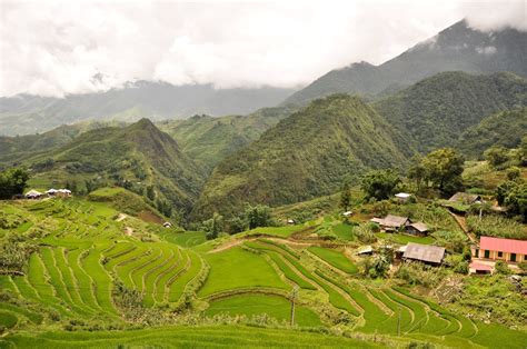 Terraced Rice Fields Sapa Vietnam Uncover Vietnam