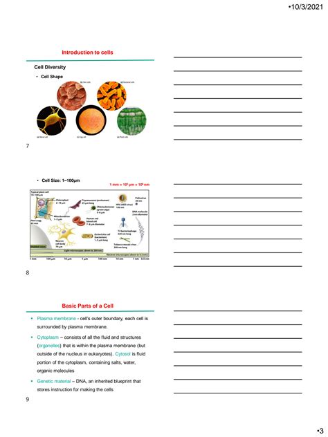 Solution Chapter 3 Cell Structure Function Studypool