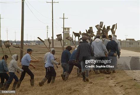 500 Angola Prison Stock Photos, High-Res Pictures, and Images - Getty ...