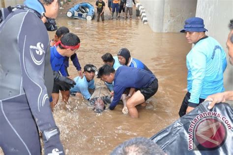 Korban Meninggal Banjir Jakarta Menjadi 15 Orang Antara News