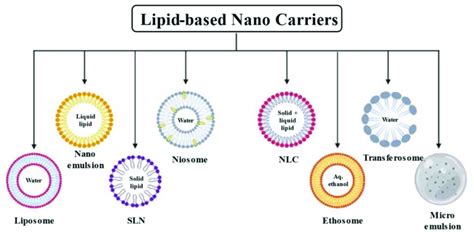 List Of Lipid Based Nanocarriers Used For Delivery Of Pharmaceutically