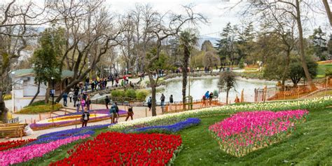 Musim Semi Dan Festival Tulip Di Turki Turknesia