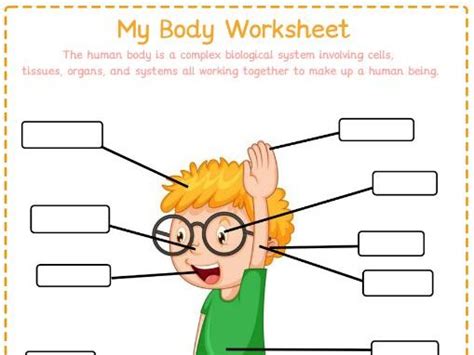 Ks1 Science My Body Parts Worksheet Teaching Resources