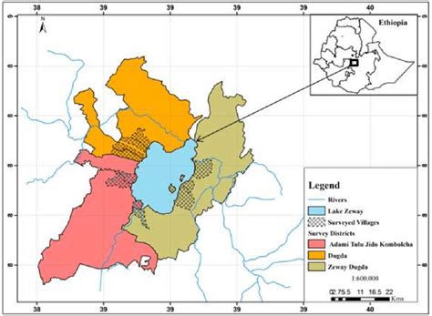 1. Map of Lake Ziway, and surveyed districts and villages. | Download ...