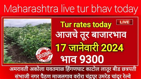 Tur Bazar Bhav Today Live Peageon