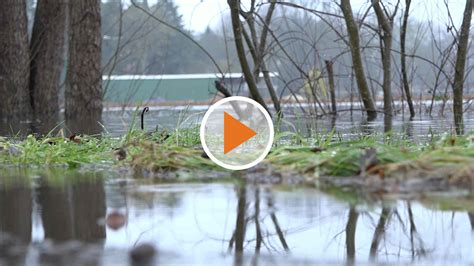 Hochwasser Aktuelle Lage In Meppen Und Haren Ems Tv