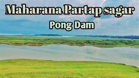 Rancer Island Pong Dam Maharana Pratap Sagar Flying Drone In