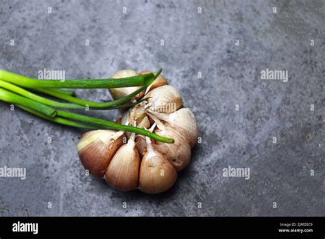 Beneficios del ajo para tu salud