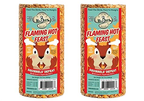 10 Best Spicy Bird Seed For Attracting Wild Birds To Your Garden Hummingbirds Plus