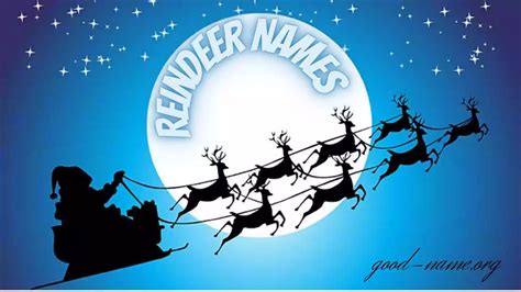 Santa's Reindeer Names Full list & Their Personalities - Good Name