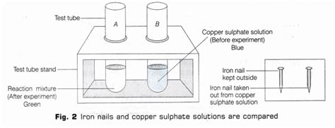 Cbse Class Science Lab Manual Types Of Reactions A Plus Topper