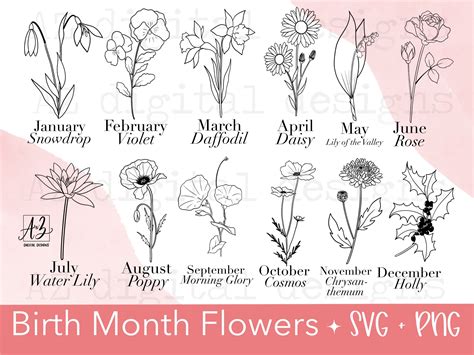 Birth Month Flower Svg Hand Drawn Birthday Flower Svg Etsy Geboorte