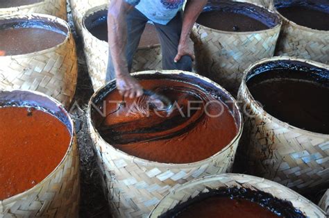 Produksi Gula Merah Di Kudus Antara Foto