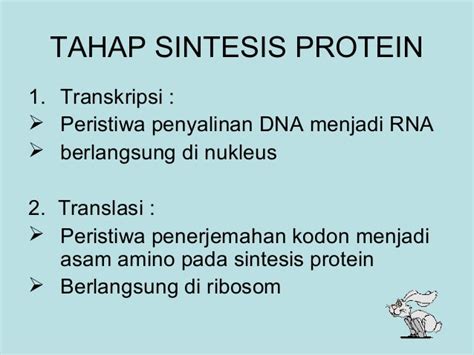 Bab 3 Sintesis Protein