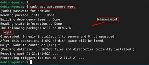 How To Install Wget On Debian Linux Genie