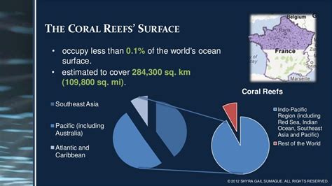 Destruction of Coral Reefs