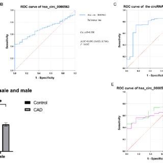 The Expression Level And The ROC Curve Of BTBD7 Hsa Circ 0000563 A