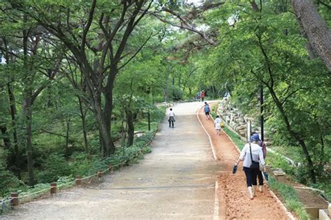 맨발걷기 장소 추천 걷기 좋은 곳 7개구강남부터 구로 네이버 블로그