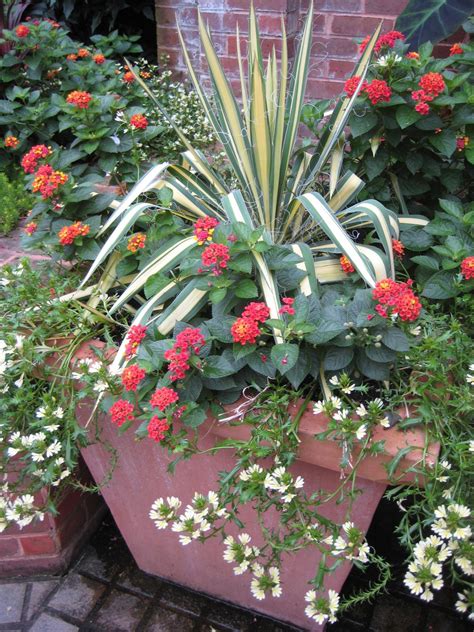 Summer Container Gardening Ideas