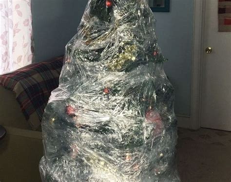 The Tree Storage Hack You Have To See Plastic Christmas Tree Christmas Wrapping Pallet