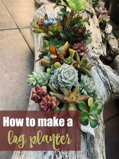 25 Log Planters Eco Friendly Planters How To Make A Log Planter