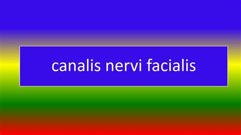 What Is Canalis Nervi Facialis Youtube