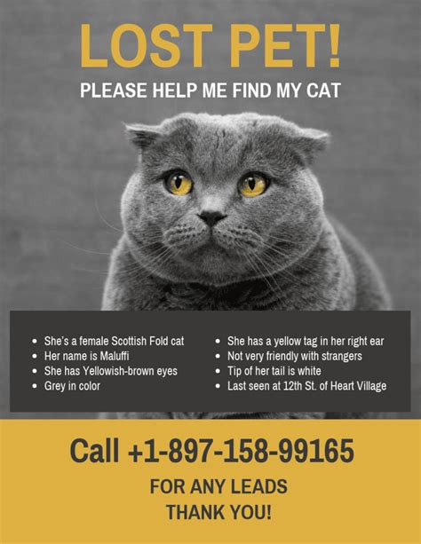 Missing Cat Poster Templates Useful Search Tips Catster