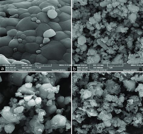 scanning electron microscope view. (a) Calcium silicate, (b ...