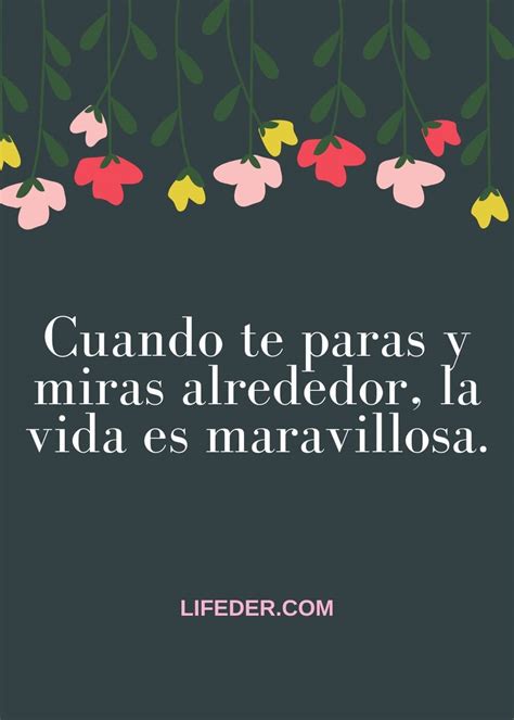 Frases Bonitas Y Lindas De La Vida Y Amor