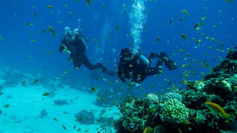 Consejos Para Un Buceo Seguro Evita Riesgos Trotandomundos