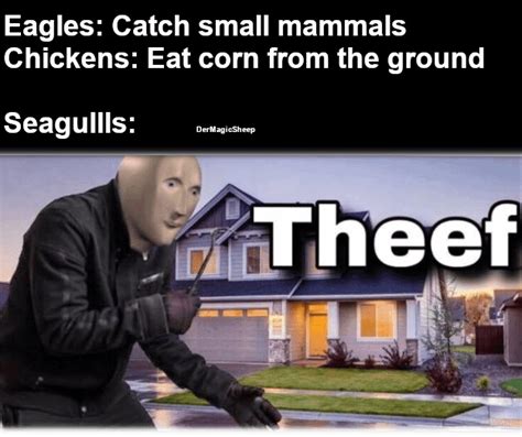 Seagull meme : r/memes