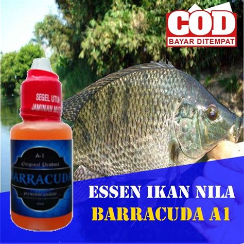 Jual Essen Pengumpul Ikan Nila Liar Kolam Liaran Cocok Semua