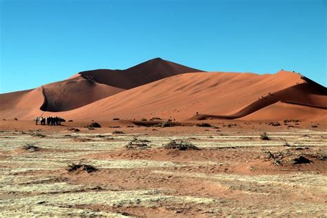 Big Daddy Dune Sossusvlei 2019 Ce Quil Faut Savoir Pour Votre Visite Tripadvisor