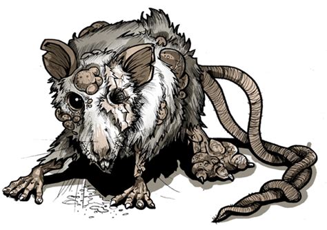 Evil Rat Drawing at PaintingValley.com | Explore collection of Evil Rat ...