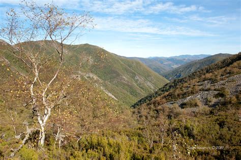 Instantes Fotos De Sebasti N Navarrete Oto O En Muniellos Asturias