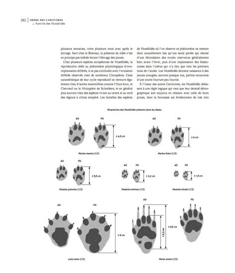 Les Mammif Res De L Arc Alpin Mammals Of The Alpine Arc Nhbs Field