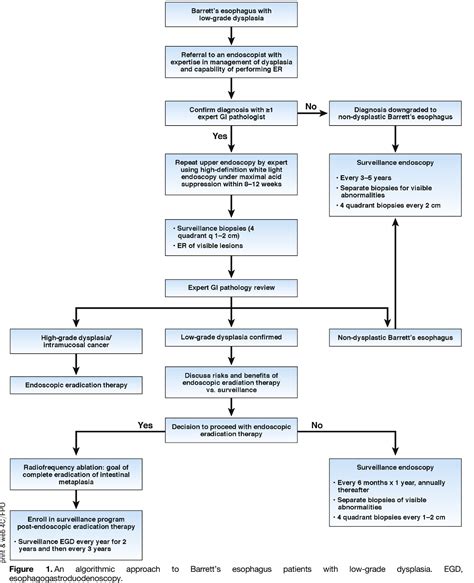 Figure 1 From Diagnosis And Management Of Low Grade Dysplasia In