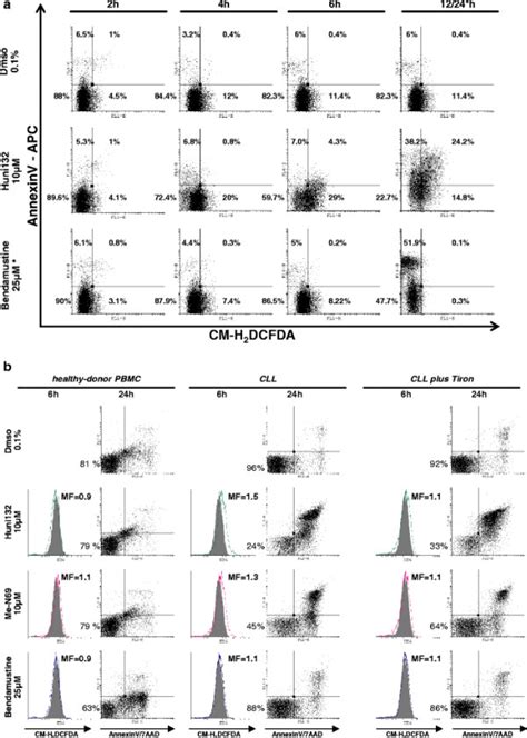 The Induction Of Cll Cell Apoptosis By Metal Containing Nucleosides Is