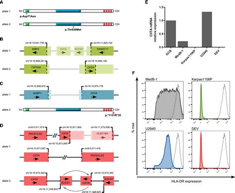 Genomic Alterations In Ciita Are Frequent In Primary Mediastinal Large