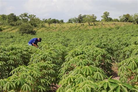 Desempleo En Colombia Agro Turismo Y Comercio Los Sectores M S