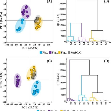 Principal Component Analysis Pca And Hierarchical Cluster Analysis