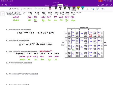 Amino acid sequence chart - polypastor