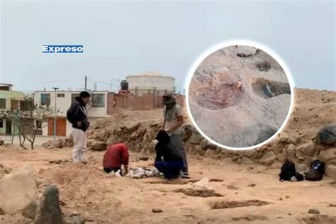 Trujillo Hallan Restos De Ni Os Y Llamas Sacrificadas En Sitio