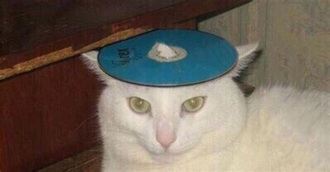 За DVD | Пикабу